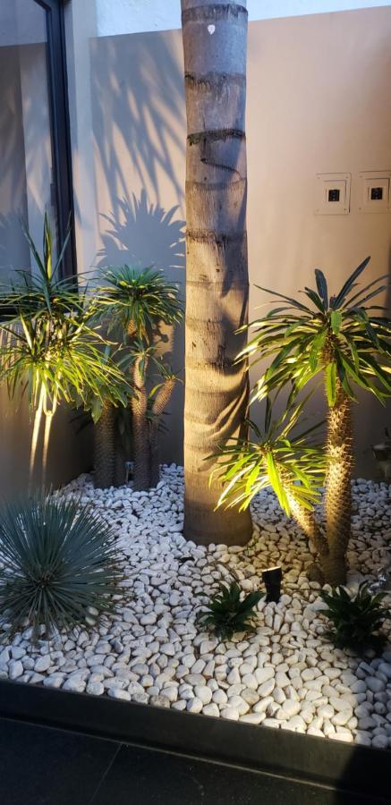 Condesa Cibel Apartment Kota Meksiko Bagian luar foto