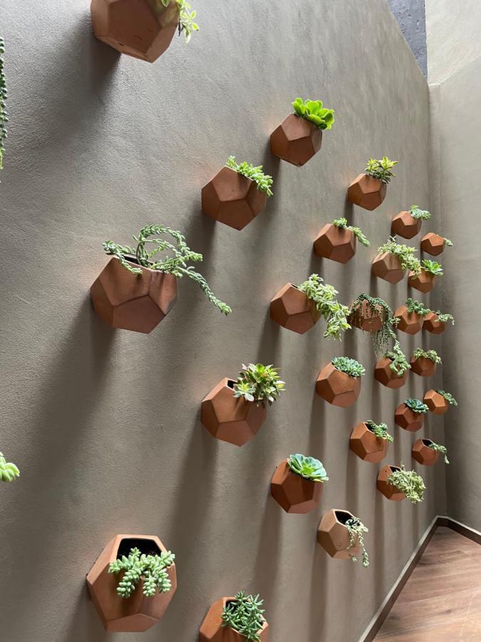 Condesa Cibel Apartment Kota Meksiko Bagian luar foto